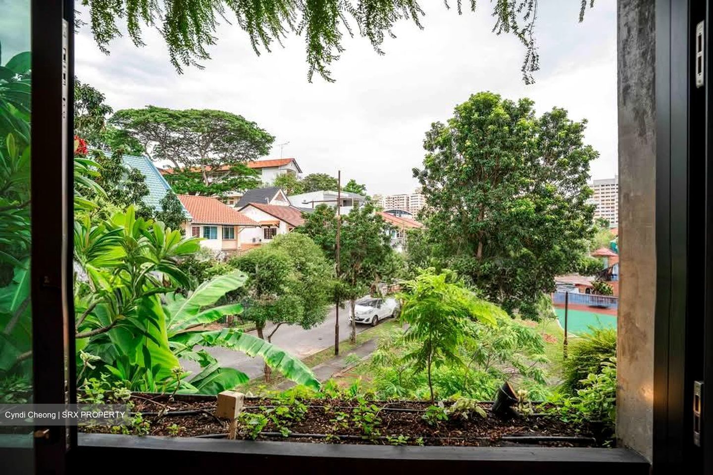 Opera Estate (D15), Terrace #536414901